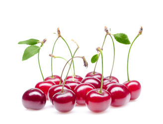 Similar image 316921