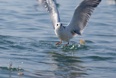 Similar image 316935