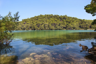 Similar image 316954