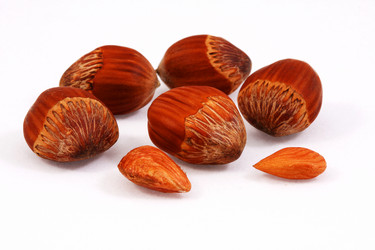 Similar image 316958