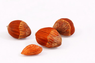 Similar image 316960