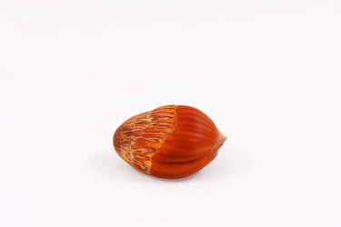 Similar image 316961