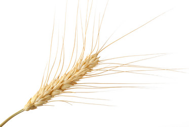 Similar image 316970