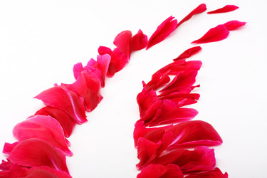 Similar image 316986