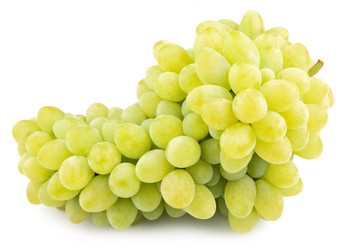 Similar image 316997