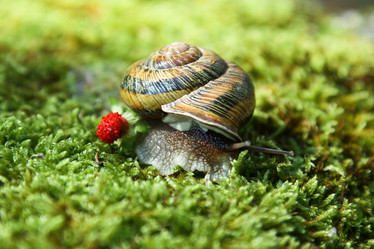 Similar image 317006