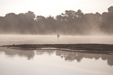 Similar image 317021