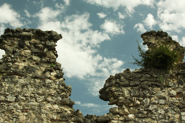 Similar image 317035