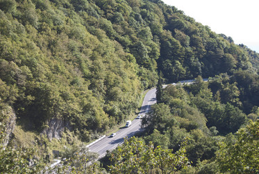 Similar image 317037