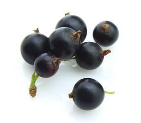 Similar image 317048