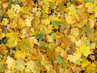 Similar image 317064