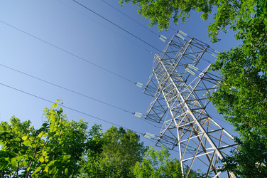 Similar image 317076