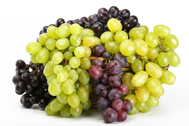 Similar image 317084