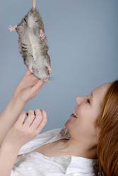 Similar image 317085