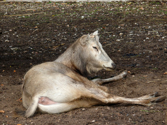 Similar image 317098