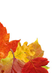 Similar image 317102