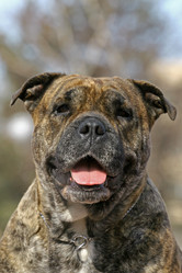 Similar image 317106