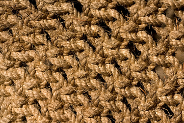 Similar image 317109