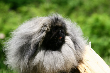 Similar image 317110