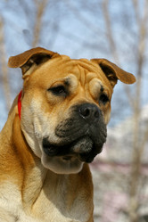 Similar image 317111