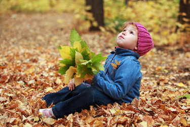 Similar image 317139