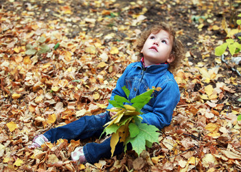 Similar image 317140