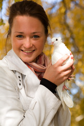 Similar image 317158