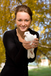 Similar image 317159