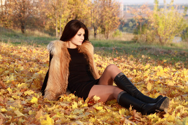 Similar image 317179