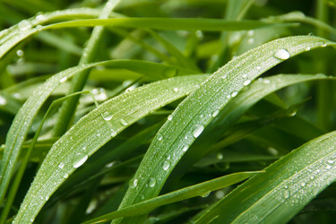 Similar image 317214