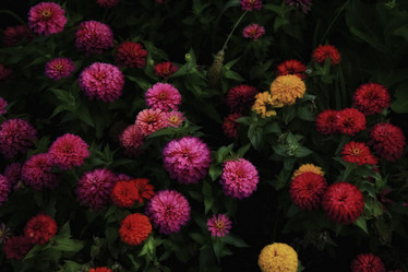 Similar image 317219