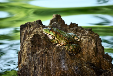 Similar image 317231