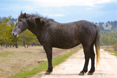 Similar image 317233