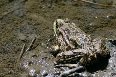 Similar image 317236