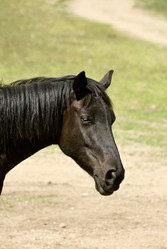 Similar image 317239