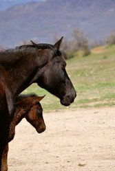 Similar image 317240