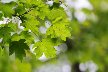 Similar image 317241