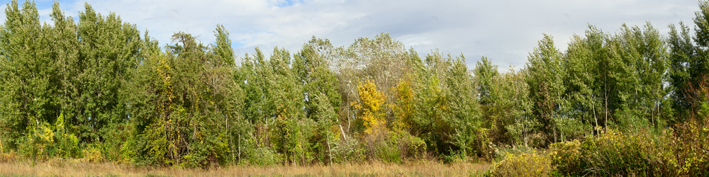 Similar image 317242