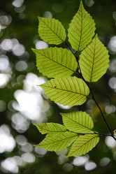 Similar image 317243