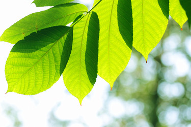 Similar image 317244