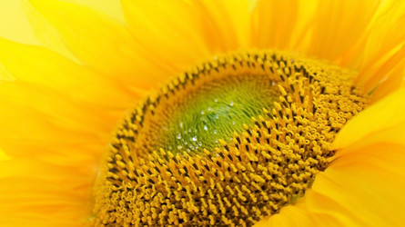 Similar image 317248