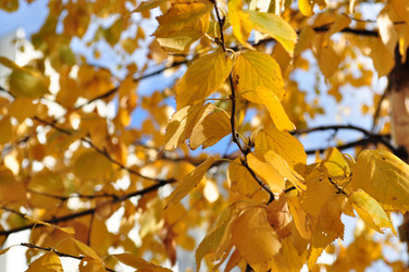 Similar image 317257