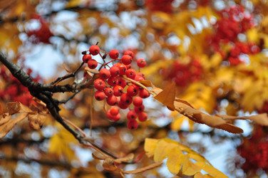 Similar image 317263