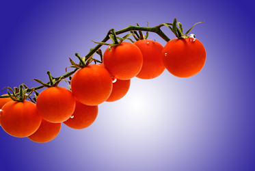 Similar image 317270