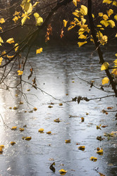 Similar image 317331