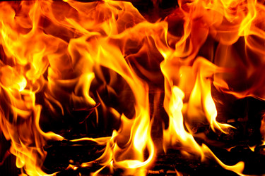 Similar image 317341