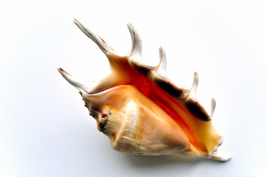 Similar image 317346