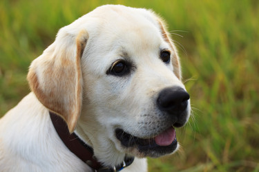 Similar image 317384