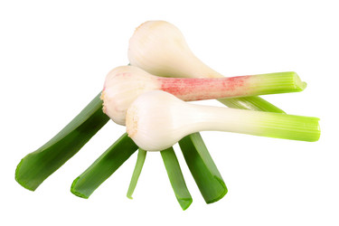 Similar image 317464