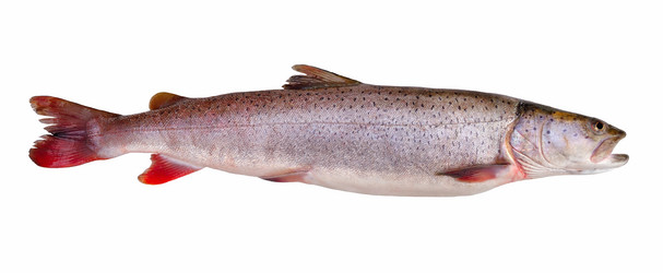 Similar image 317470